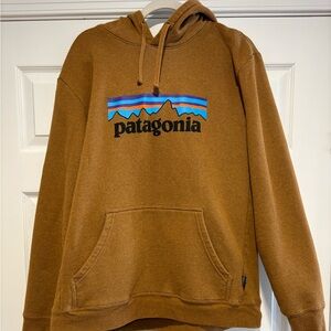 Patagonia Hoodie with Blue Highlights. Size large men’s.
